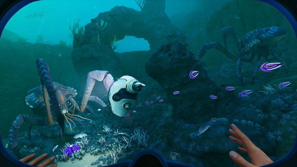 Subnautica 2: les fondateurs d'Unknown Worlds remportent une victoire contre Krafton