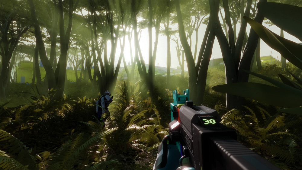 Capture de gameplay en vue à la première personne montrant un fusil futuriste avec un compteur de 30 munitions, dans une forêt dense de fougères et de grands arbres éclairée par le soleil. Un personnage en armure avance dans la végétation.