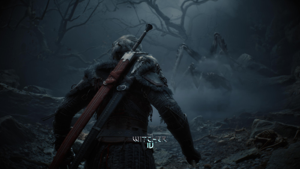 Image sombre et immersive issue du jeu "The Witcher 4", montrant un sorceleur de dos, en position de combat dans une forêt lugubre et brumeuse. Le personnage est vêtu d'une armure en cuir sombre et porte deux épées dans son dos, l'une à la garde argentée et l'autre rouge. Il fait face à une immense créature arachnéenne aux longues pattes, surgissant d’un brouillard inquiétant entre les arbres tordus et dénudés. L’atmosphère est menaçante, renforcée par un éclairage tamisé, des rochers épars et des restes d’ossements visibles au sol. Le logo du jeu "The Witcher 4" est centré en bas de l’image.