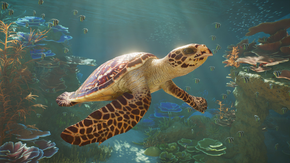 Capture d’écran d’un jeu montrant une tortue marine nageant au-dessus d’un récif corallien coloré. Des rayons de lumière traversent l’eau tandis que de petits poissons évoluent autour des coraux et des formations rocheuses, créant une scène sous-marine paisible et détaillée.