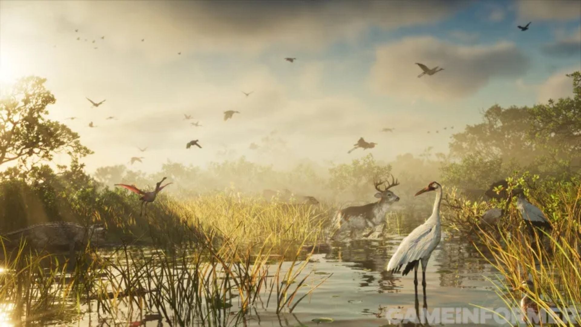 Capture de jeu montrant une zone humide baignée par la lumière dorée du soleil, avec de hautes herbes, plusieurs grues et autres oiseaux en vol. Un cerf traverse l’eau peu profonde au milieu d’une végétation dense.