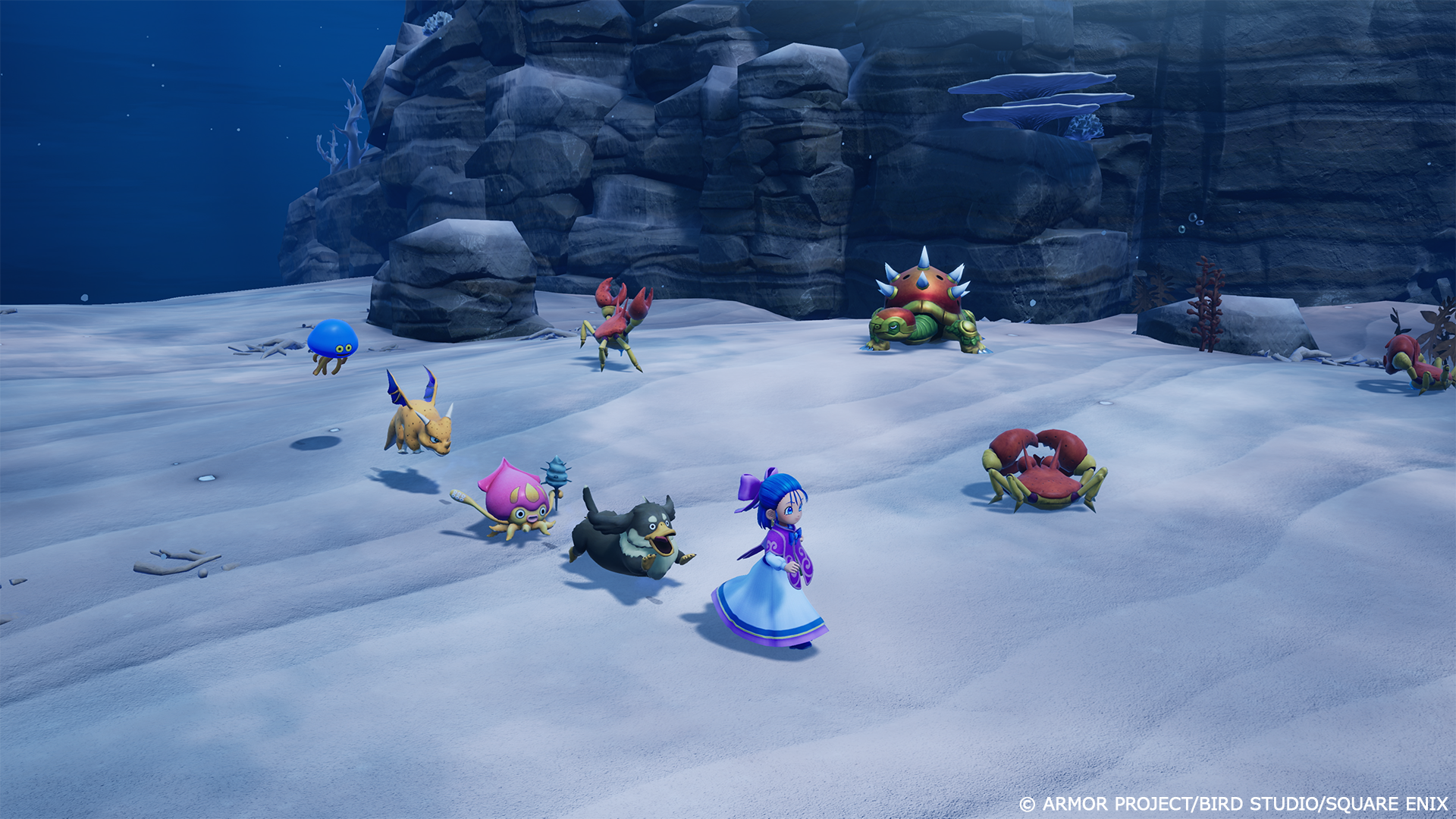 Capture d’écran de Dragon Quest Monsters montrant un personnage en robe bleue explorant un décor sous-marin, entouré de nombreuses créatures colorées. Crabes, méduses, monstres terrestres et créatures à carapace évoluent sur un fond sableux, devant de grandes parois rocheuses baignées d’une lumière bleutée.