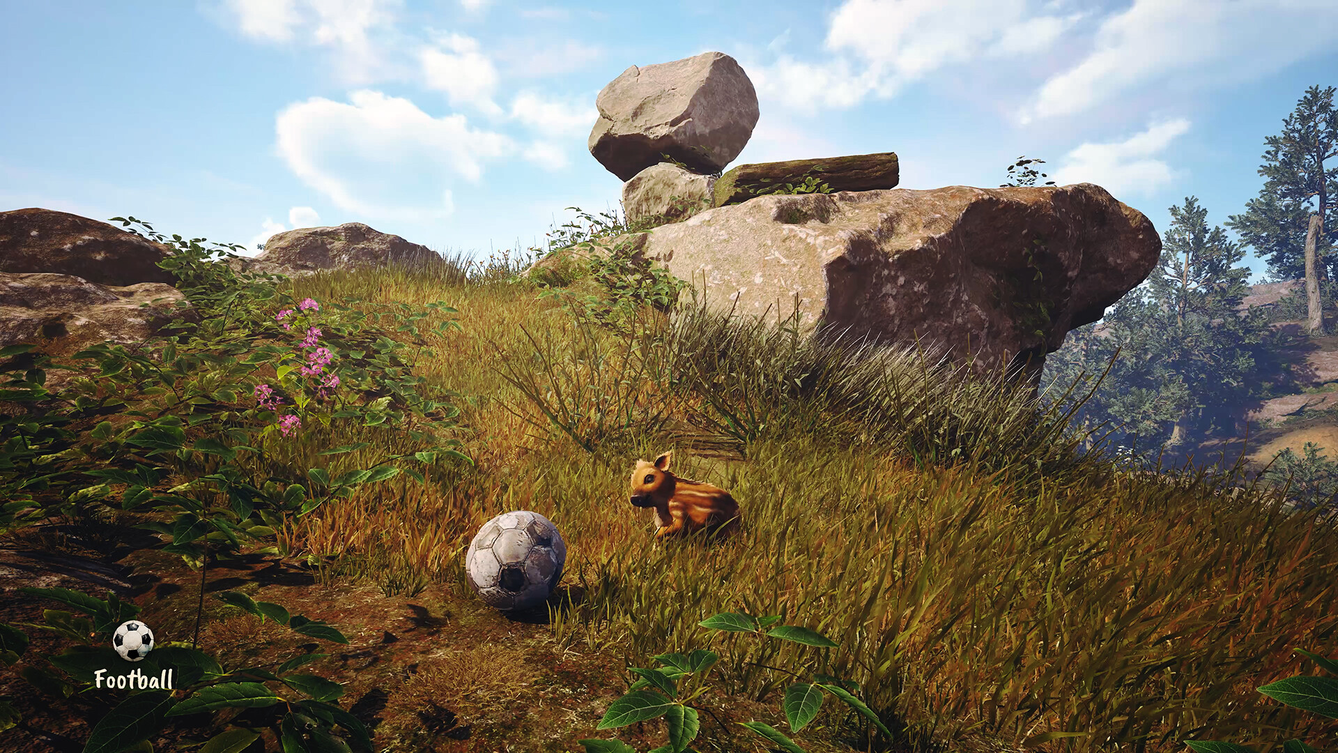 Adorable Adventures