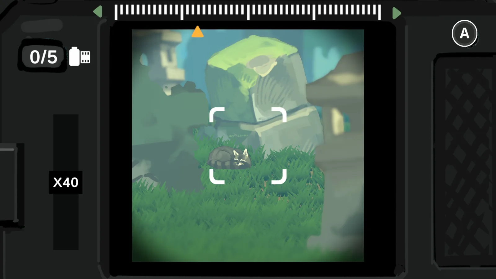 Wildframe: A Creature Scrapbook