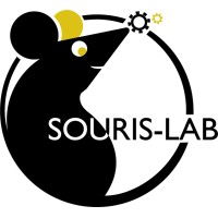Souris-Lab