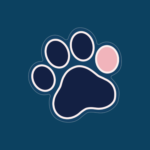 Pink Bean Studio
